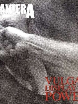 VULGAR DISPLAY OF POWER -180GR-